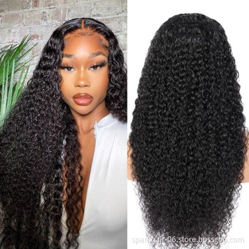 China Vendor Wholesale Virgin Brazilian HD Full Lace Frontal Wigs Natural Transparent Lace Front Human Hair Wig for Black Women
